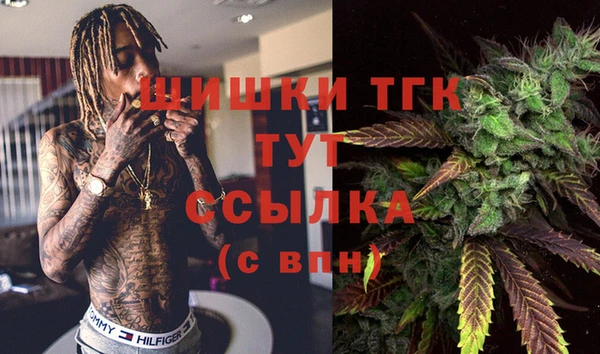 дурь Верхний Тагил